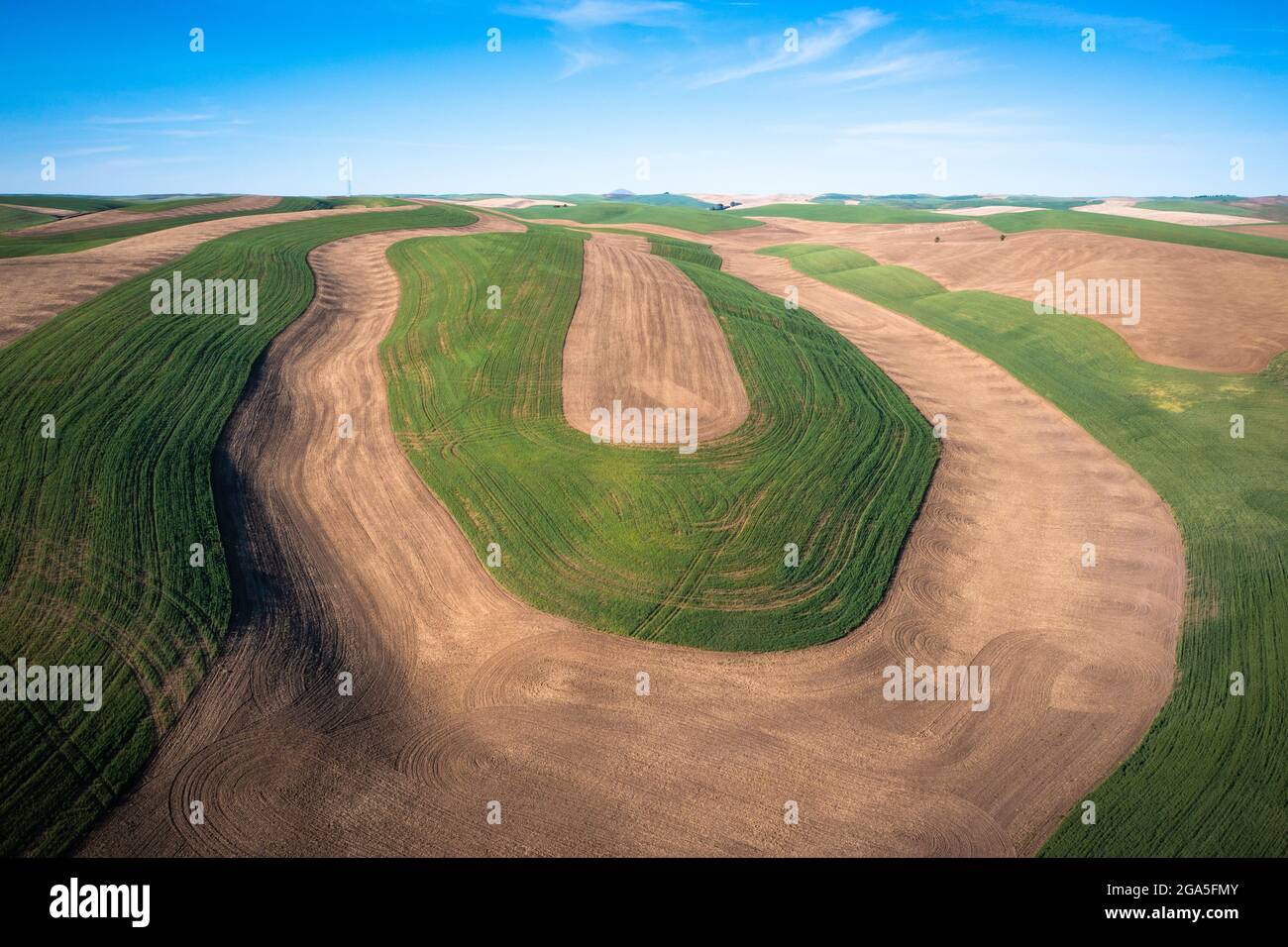 Plowed fields in the Palouse area of eastern Washington state. Stock Photo