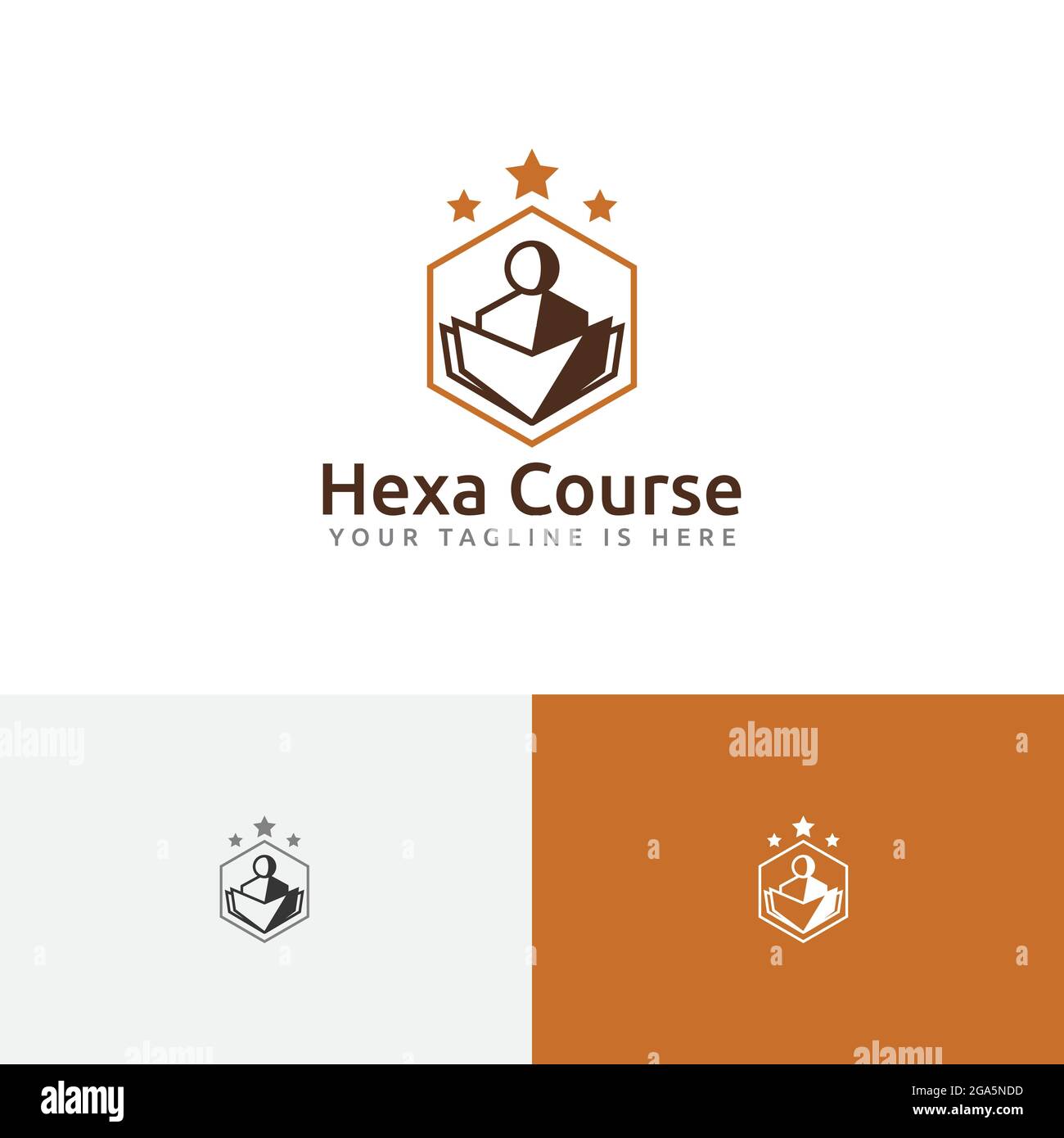 Hexagon Star Book School Course Study Education Academy Logo Stock Vector