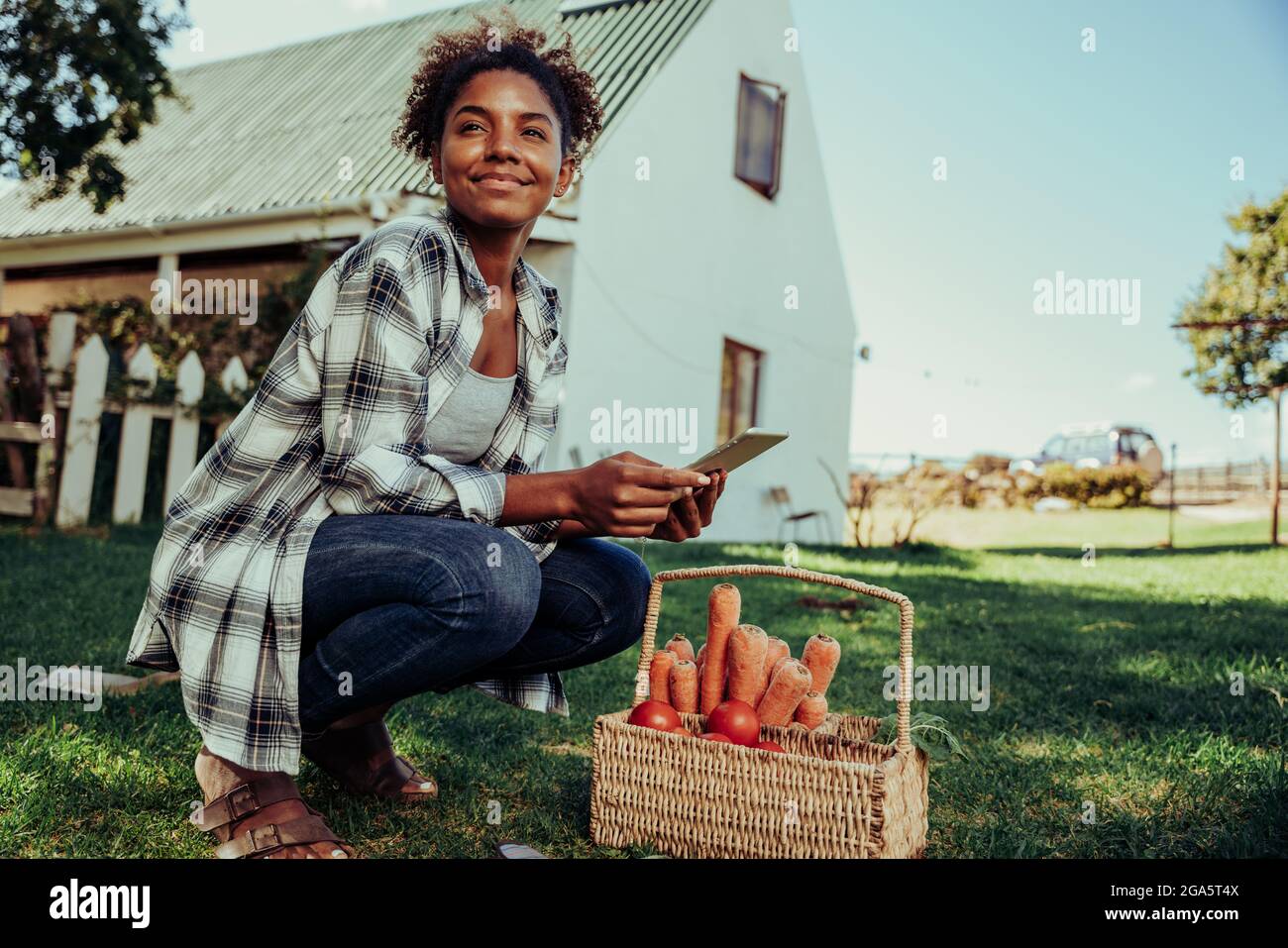 Mixed race female teen crouching down in garden next to basket of fresh vegetables researching information on digital tablet  Stock Photo