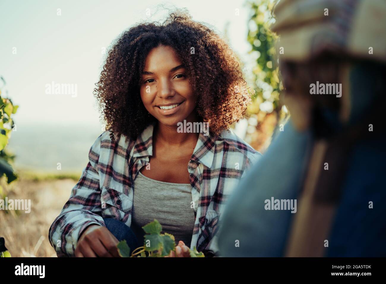 Happy mixed race female farmer smiling while sitting amongst vineyards  Stock Photo