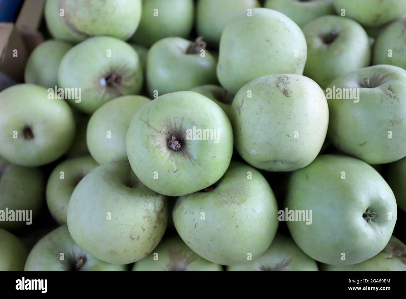 Green apples as background texture. Selective focus Stock Photo