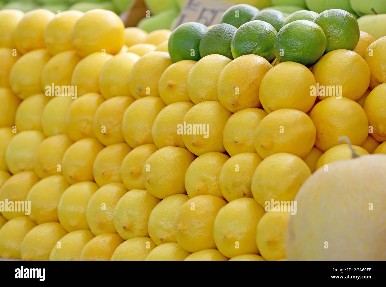 Limes and Yellow lemons background and pattern Stock Photo