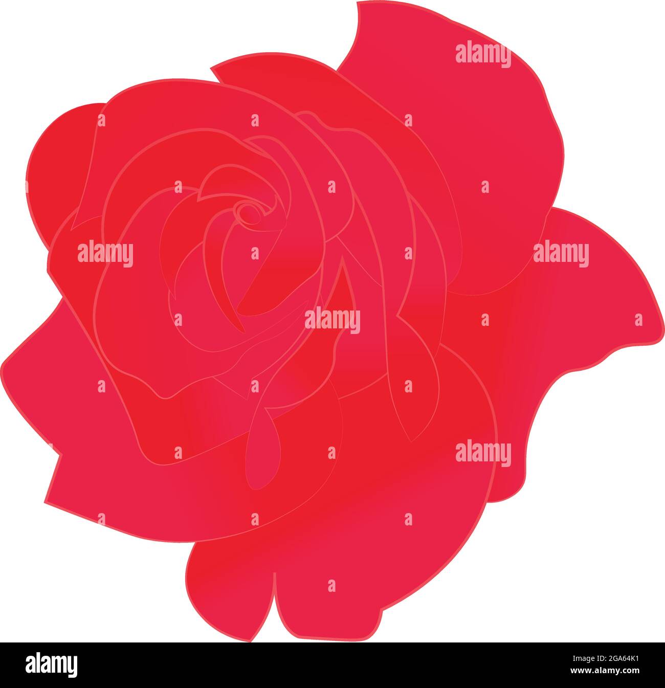 Vector Flower design, Isolated on white background use as wedding ...