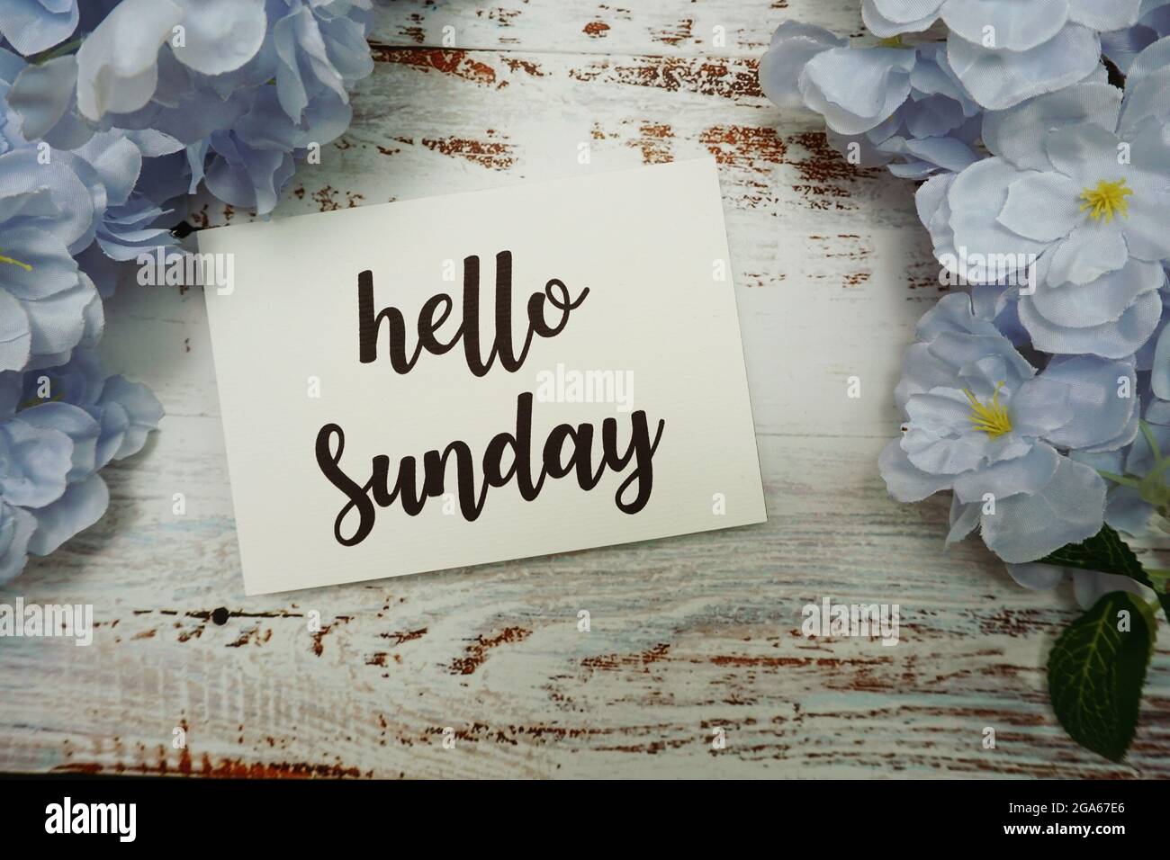 Hello Sunday Card with Blooming flower on wooden background Stock Photo