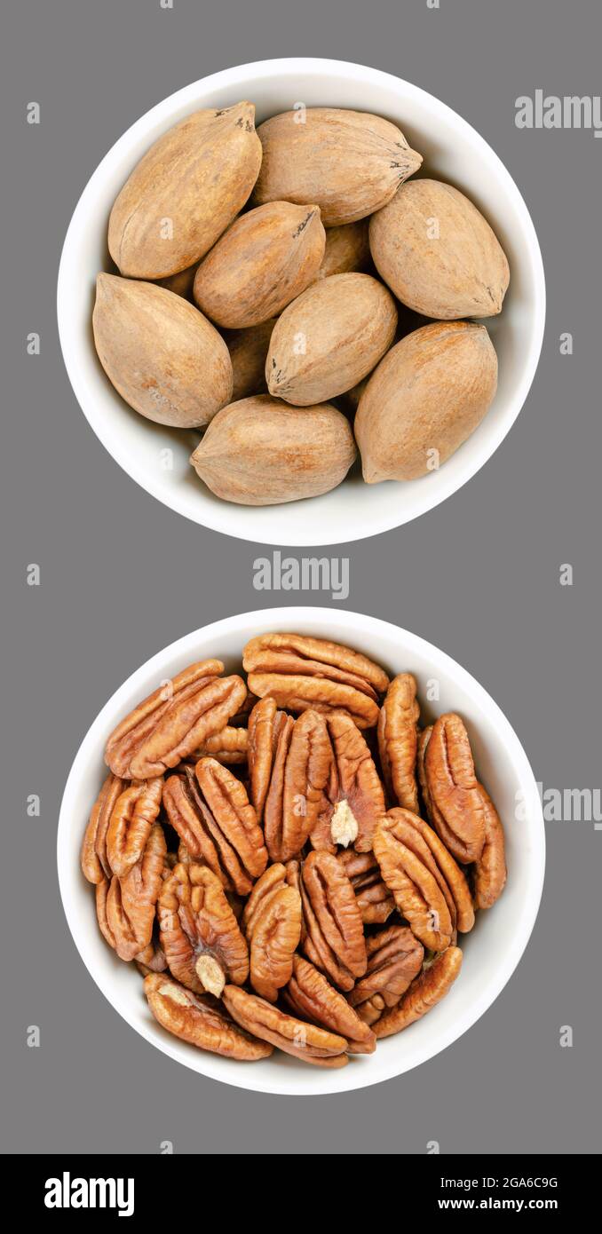 Pecan nuts, shelled and unshelled, in white bowls, over gray. Whole pecans and pecan halves, seeds and nuts of Carya illinoinensis, a popular snack. Stock Photo