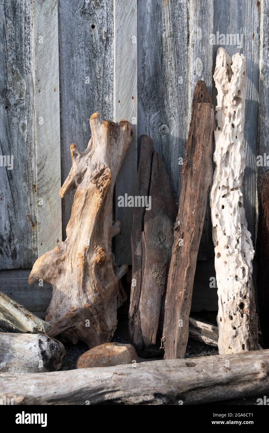 Driftwood leaning against wooden shed, Middleton Bay, Opunaki, Taranaki, North Island, New Zealand Stock Photo