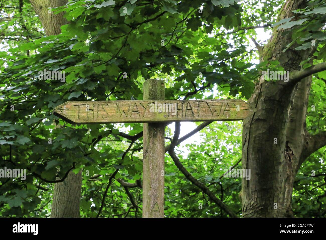 A quirky and unusual wooden sign post saying 'this way and that way', The Wrekin, Shropshire, England, UK Stock Photo