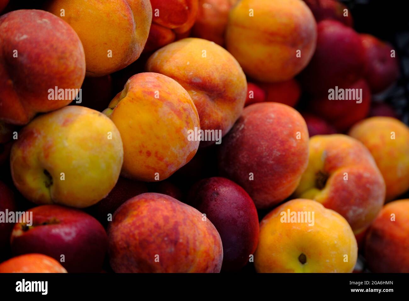Isolated image of peach Stock Photo