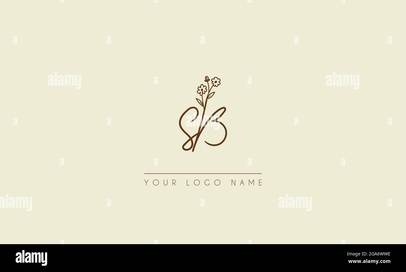 Initial letter SB Or BS Signature handwritten wedding botanical floral icon logo vector  design  illustration Stock Vector