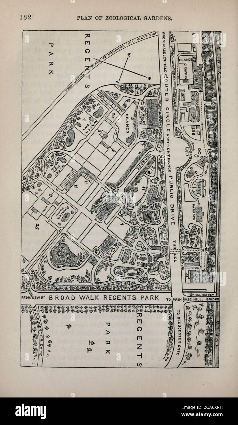 Plan of the Zoological Gardens From the book ' London and its environs : a practical guide to the metropolis and its vicinity, illustrated by maps, plans and views ' by Adam and Charles Black Published in Edinburgh by A. & C. Black 1862 Stock Photo