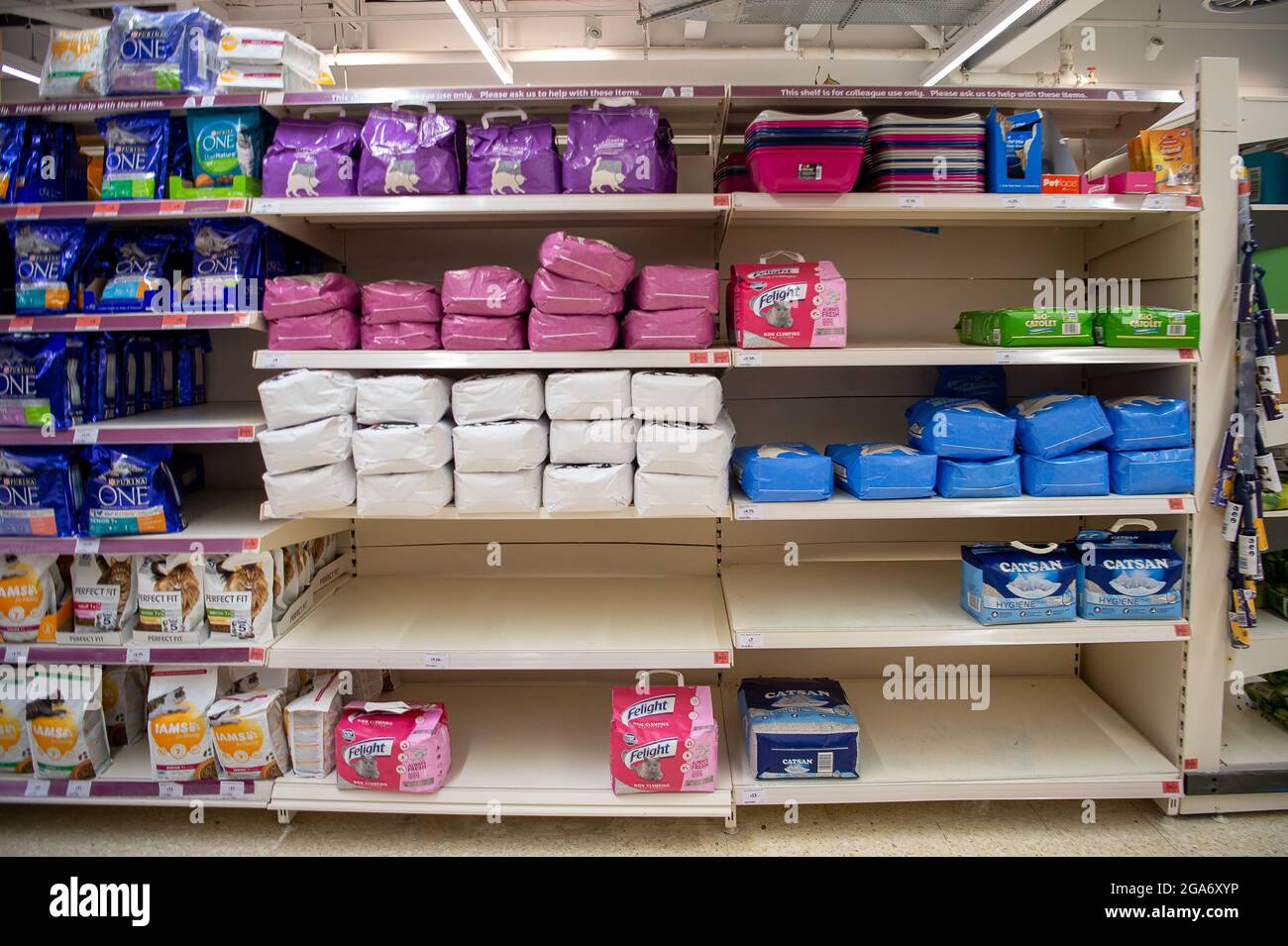 Sainsburys catsan outlet
