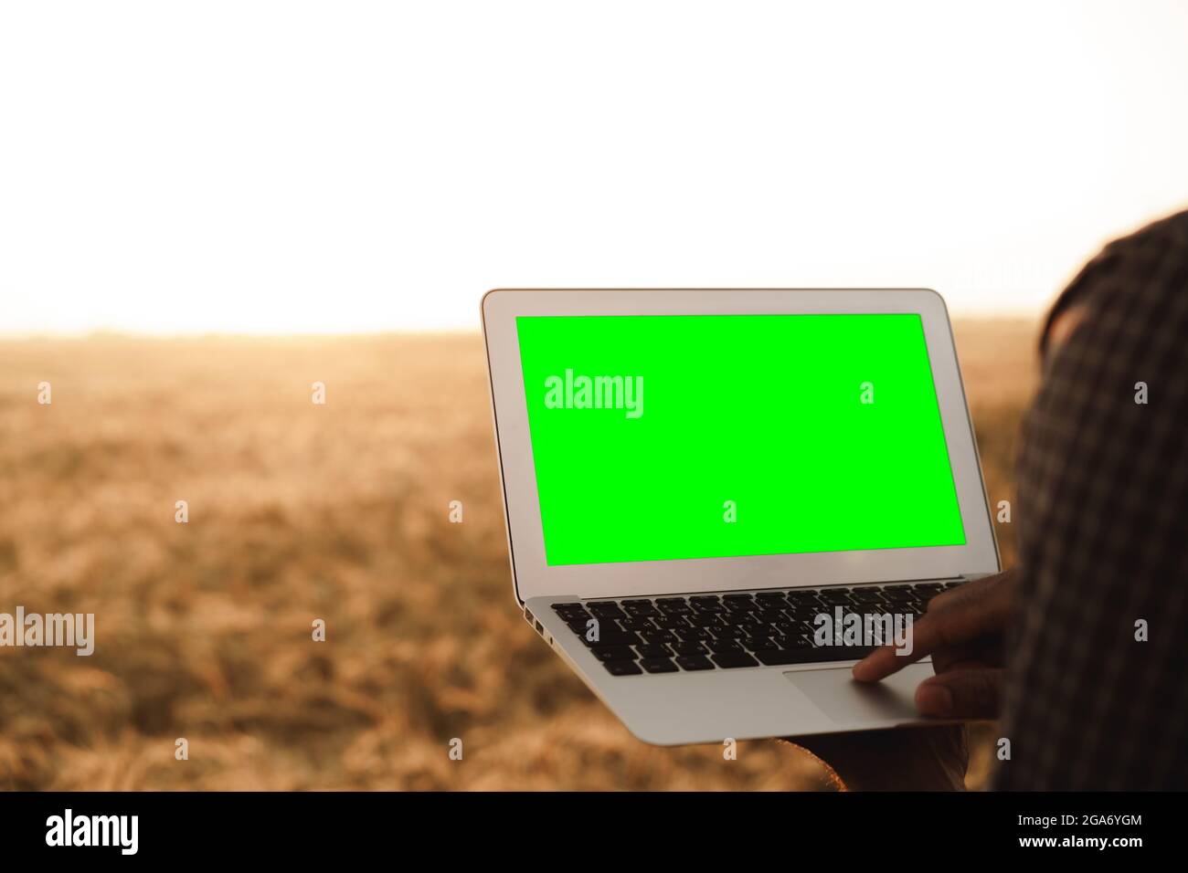 Businessman standing grain field hi-res stock photography and images ...