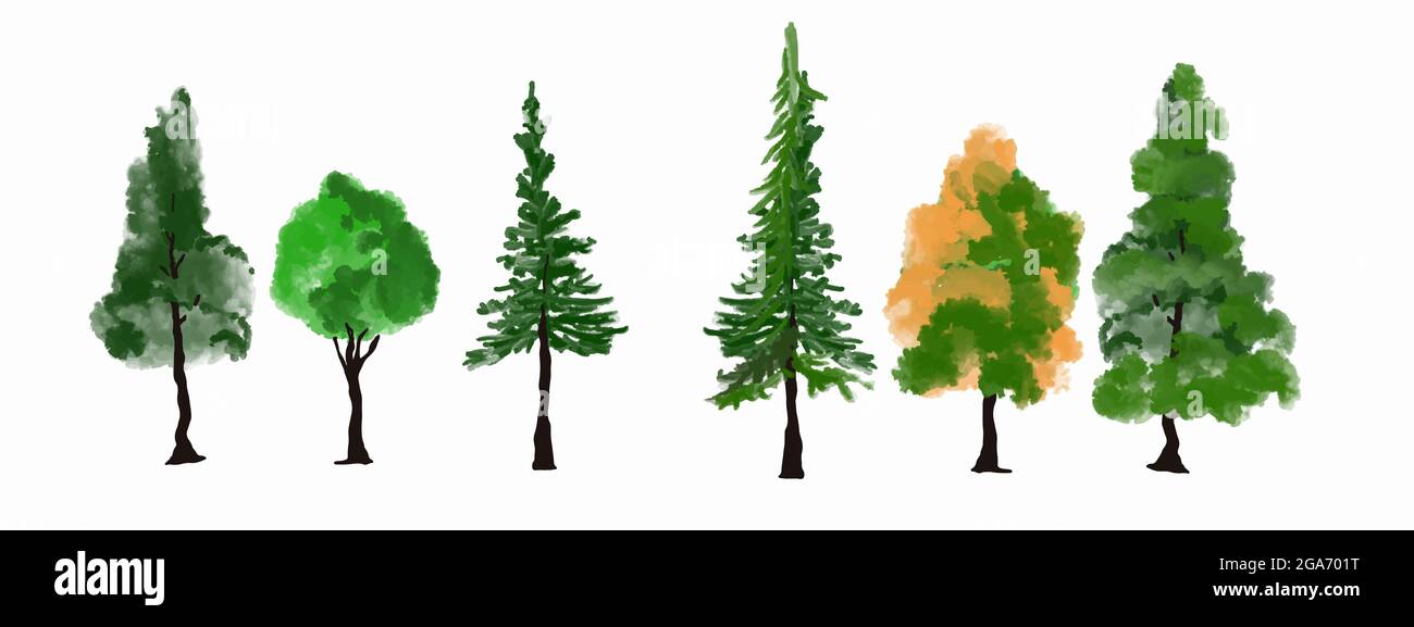 Trees, nature, illustration design set ,watercolors , grass. Stock Photo