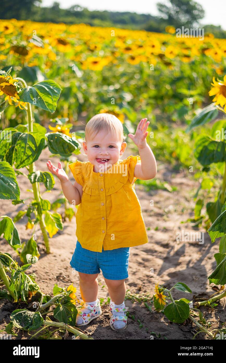 Beautiful little girl in blooming sunflower field in summertime Stock ...