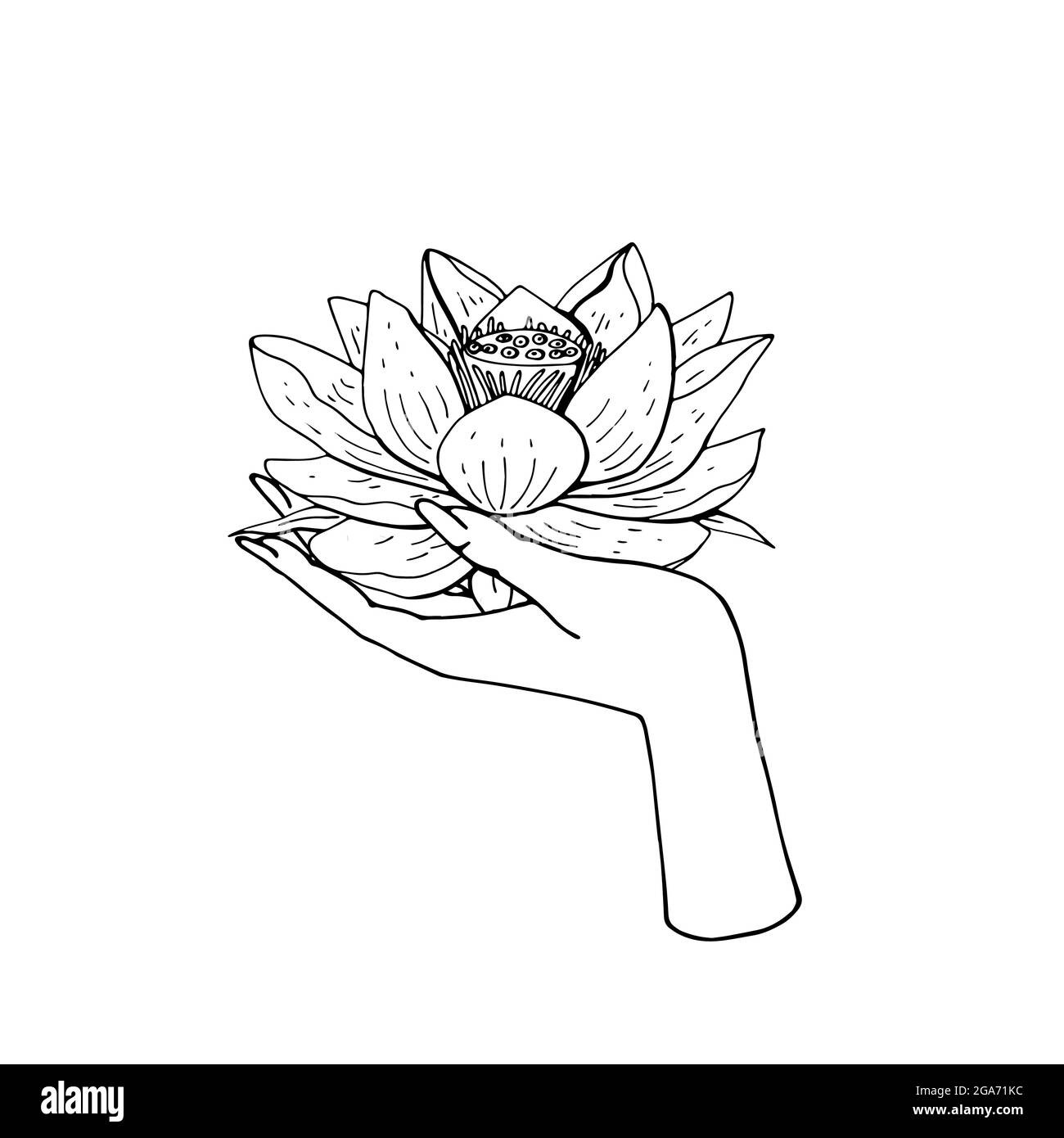 Vintage boho illustration of female Hand holding lotus. Stock Vector