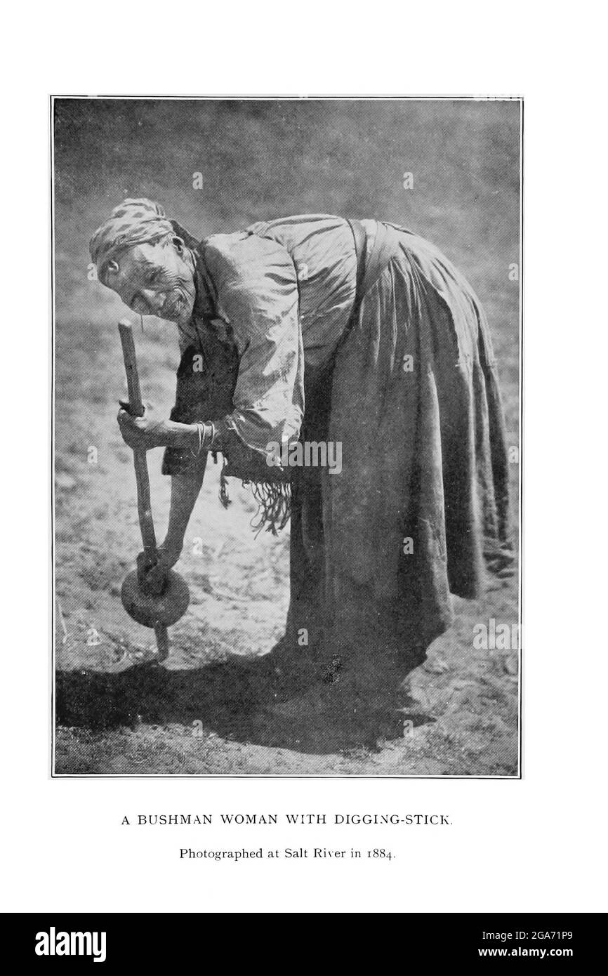 Bushman woman with digging stick Photographed in Salt River in 1884 From the book '  Specimens of Bushman folklore ' by Bleek, W. H. I. (Wilhelm Heinrich Immanuel), Lloyd, Lucy Catherine, Theal, George McCall, 1837-1919 Published in London by  G. Allen & Company, ltd. in 1911. The San peoples (also Saan), or Bushmen, are members of various Khoe, Tuu, or Kxʼa-speaking indigenous hunter-gatherer groups that are the first nations of Southern Africa, and whose territories span Botswana, Namibia, Angola, Zambia, Zimbabwe, Lesotho and South Africa. Stock Photo