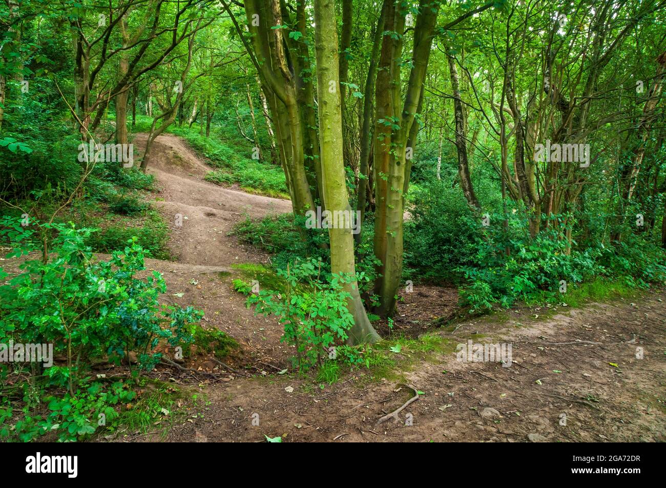 Old road works abandoned in a forest, now converted into a BMX track in
