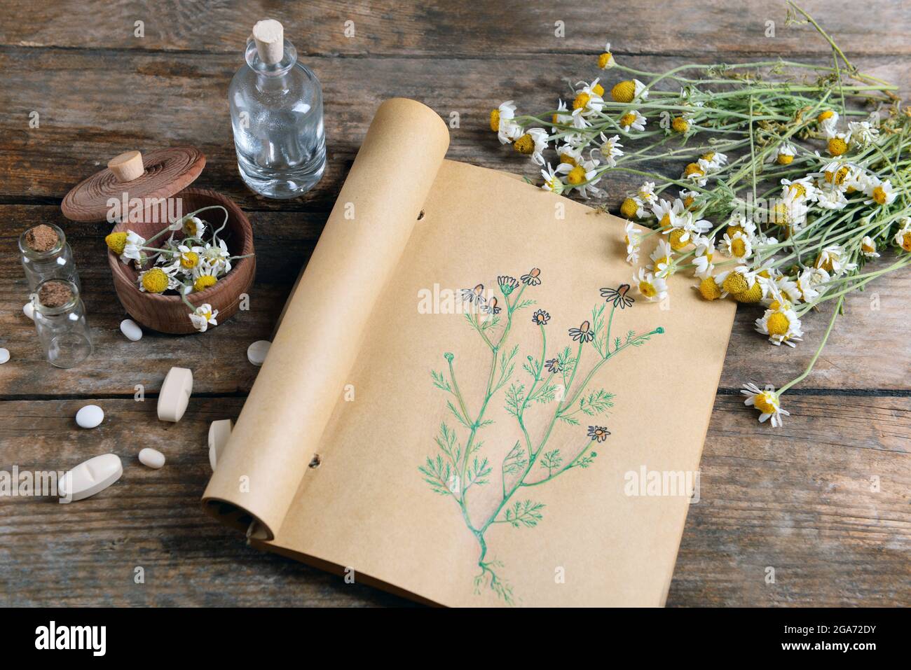Old book with dry flowers in mortar on table close up Stock Photo