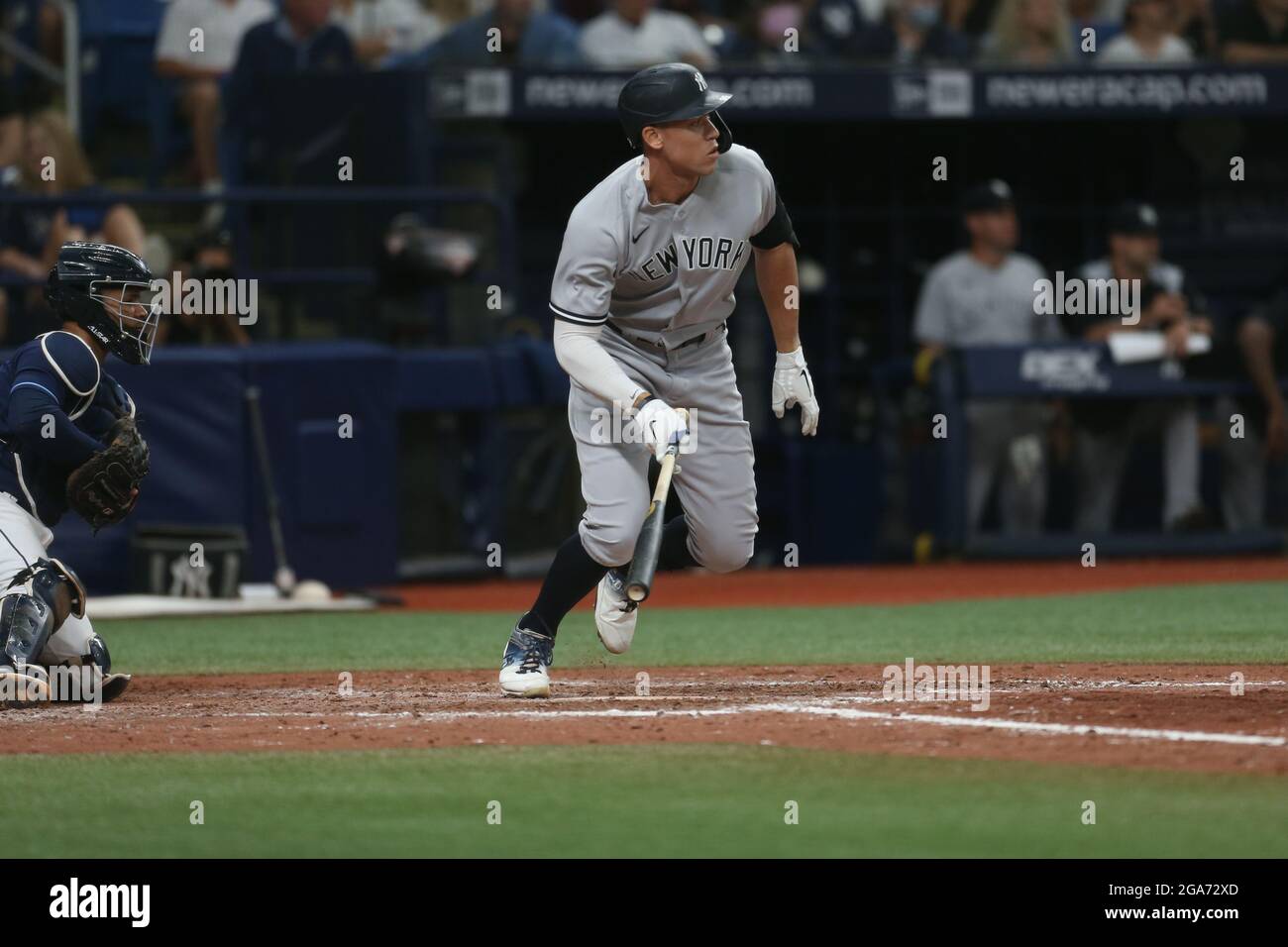 Baltimore, United States Of America. 07th Apr, 2019. New York Yankees third  baseman Gio Urshela (29) looks back at the dugout after being hit by a  pitch in the ninth inning against