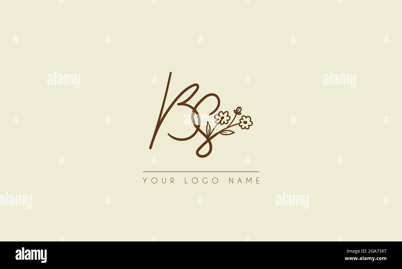 Initial letter BS Or SB  Signature handwritten wedding botanical floral icon logo vector  design  illustration Stock Vector