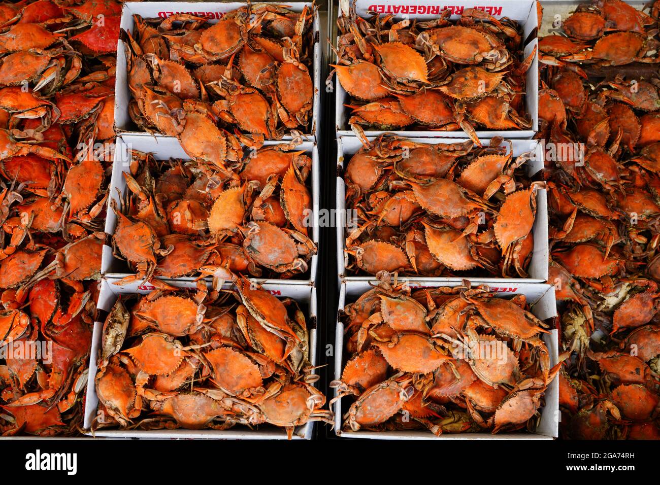 Boiled crab at a seafood market in Washington, DC Stock Photo Alamy