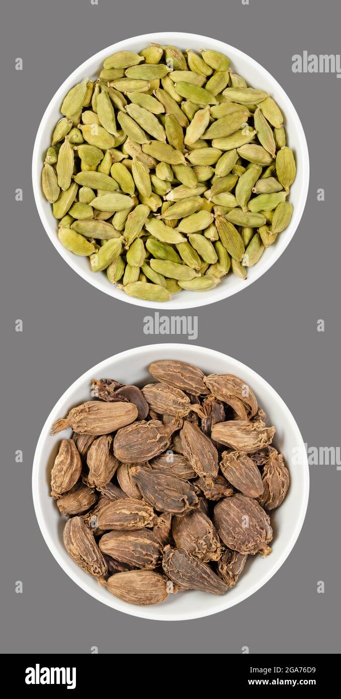 Green and black cardamom pods, in white bowls, on gray background. Processed fruits and seeds of Elettaria cardamomum and Amomum subulatum. Stock Photo