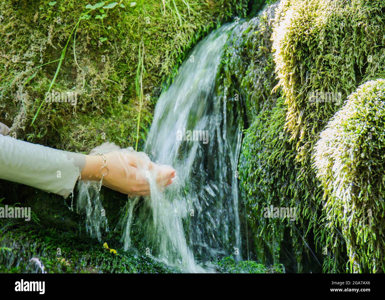 mountain spring water from which a forest stream originates, drinking water Stock Photo Alamy