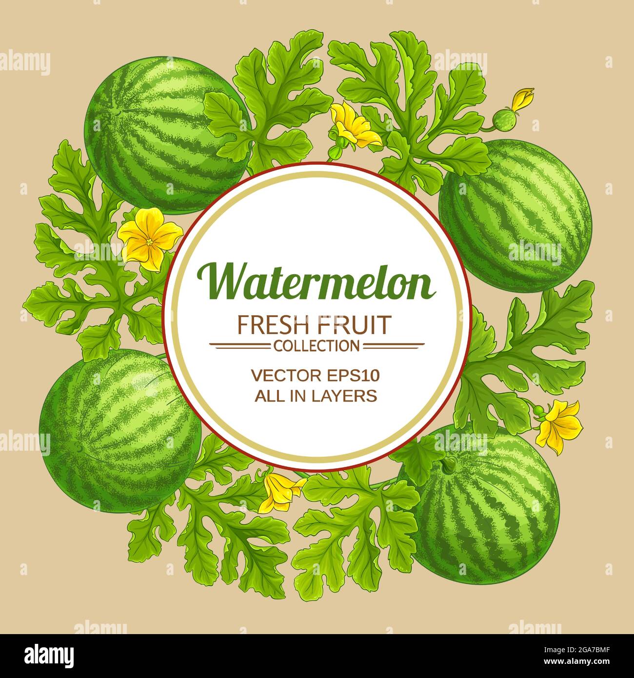 watermelon vector frame on color background Stock Vector