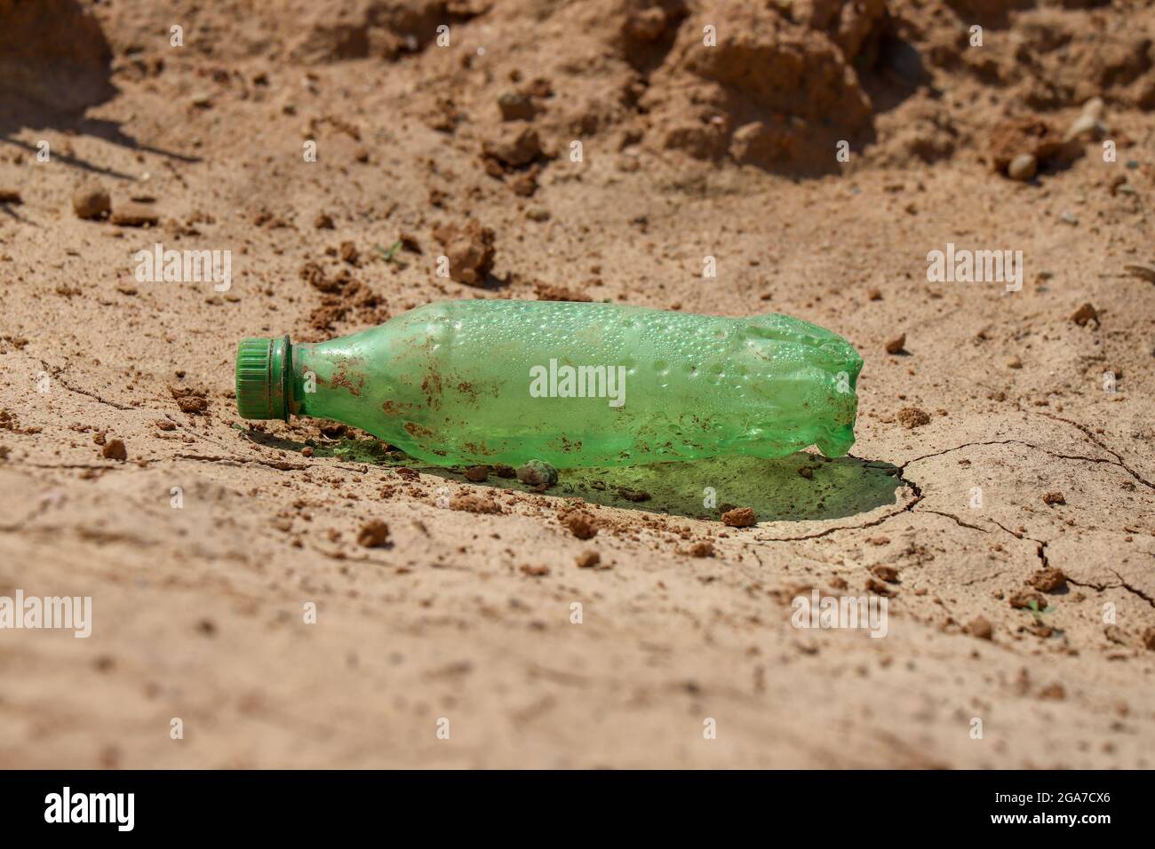 piece green plastic bottle lying on brown earth and needles in the forest Stock Photo