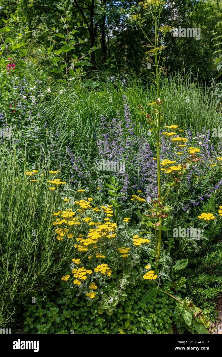 Charing cross rd hires stock photography and images Alamy