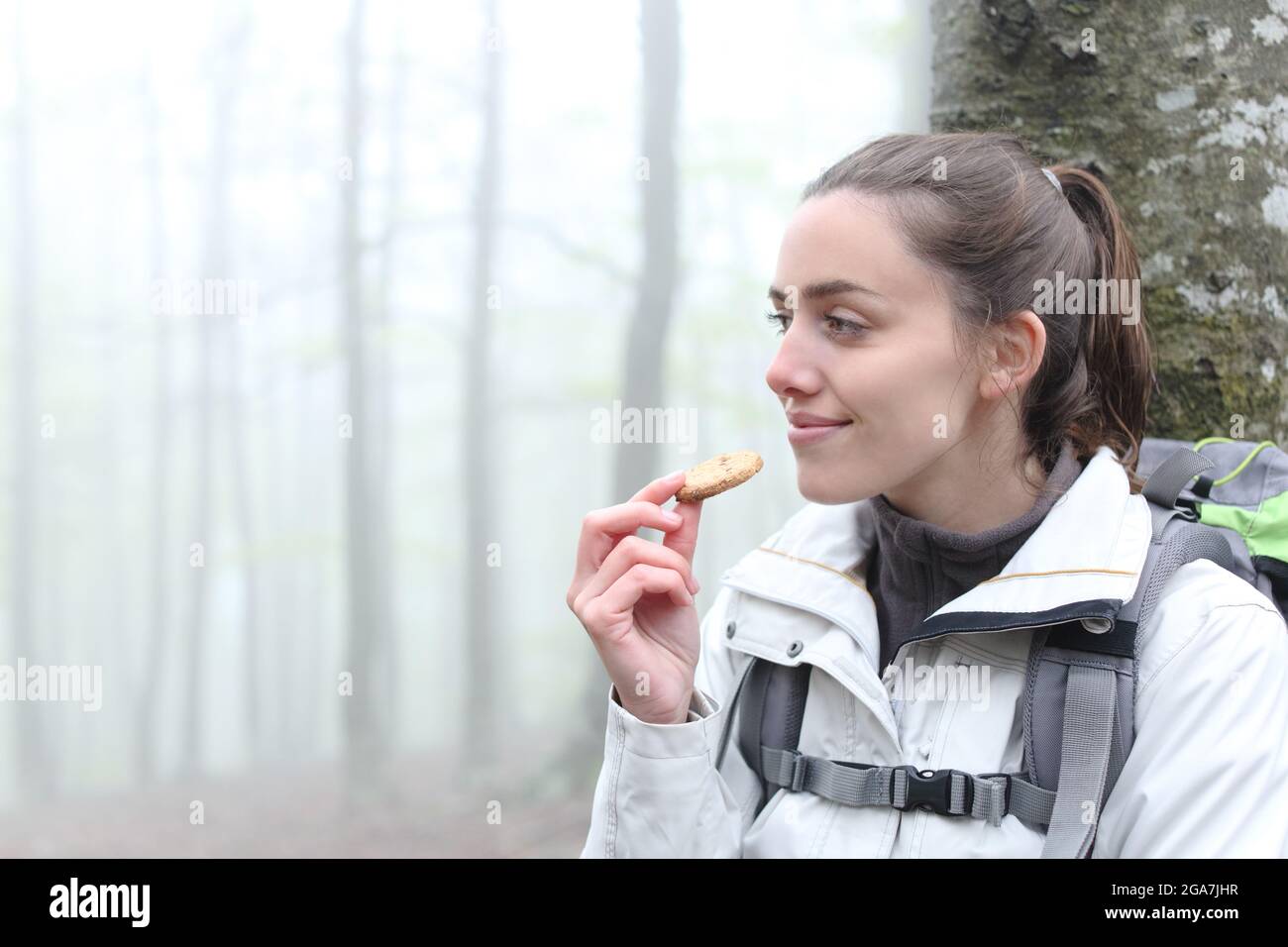 Satisfied trekker resting eating cookie in a forest Stock Photo