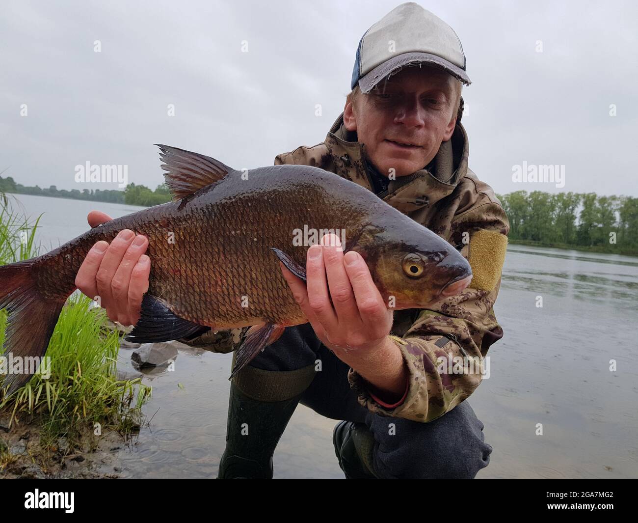 Happy fisherman holding a beautiful common bream. Feeder fishing on the river. Stock Photo