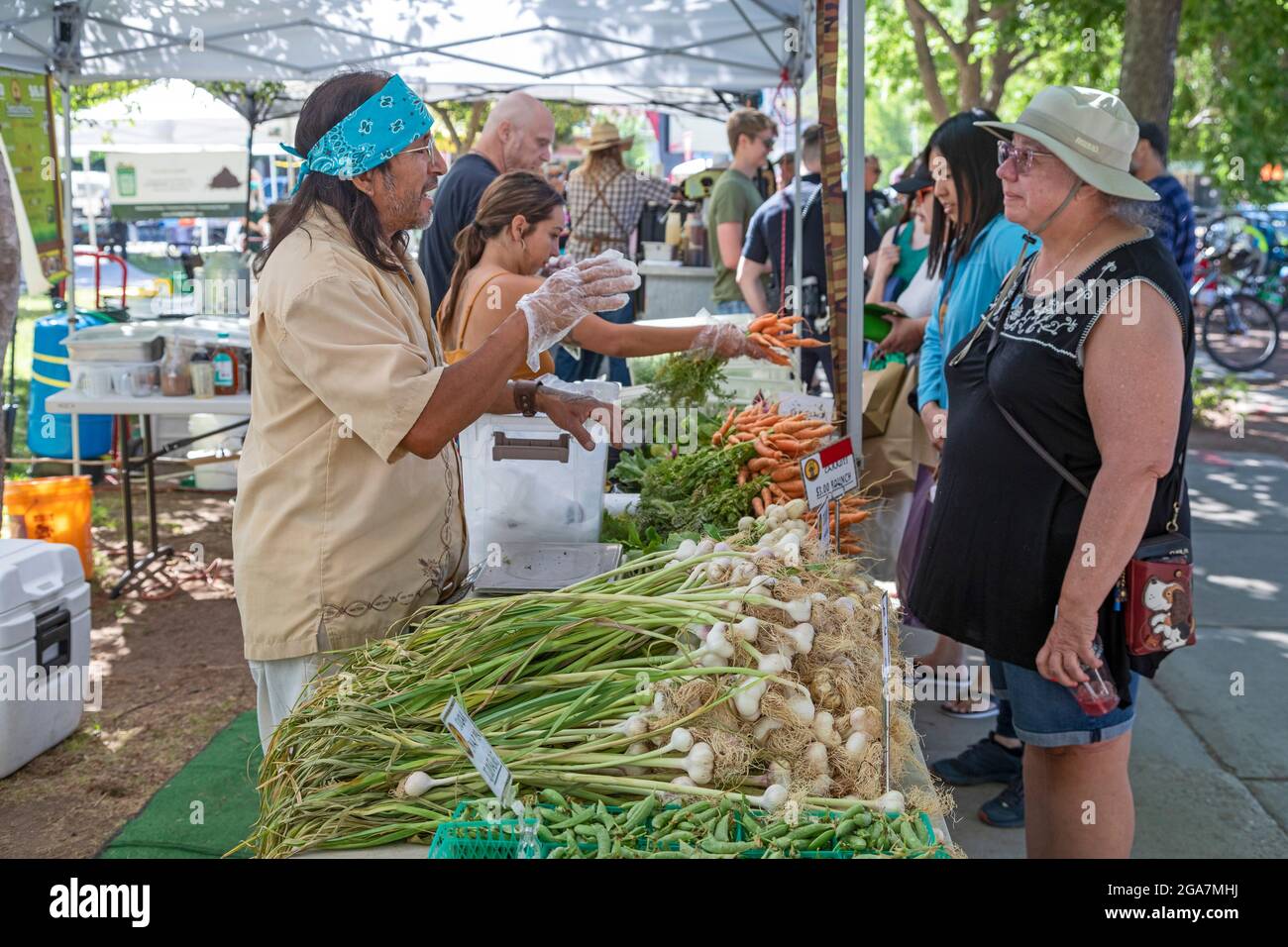 Albuquerque, New Mexico - The Downtown Growers' Market, held Saturdays in Robinson Park. Vegetables are on sale at the booth of Los Jardines de Moktez Stock Photo
