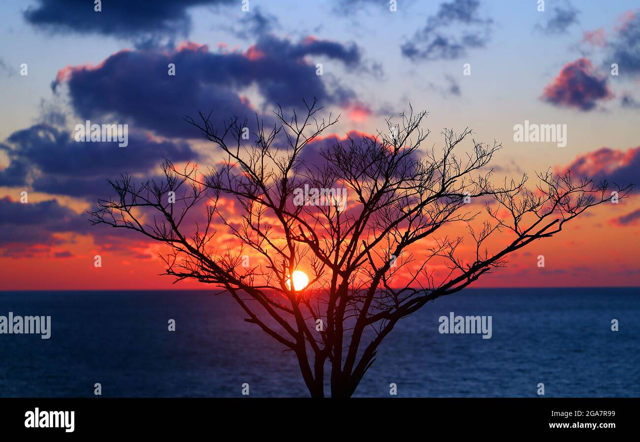 Beautiful sunset in the evening with clouds over the sea Stock Photo ...