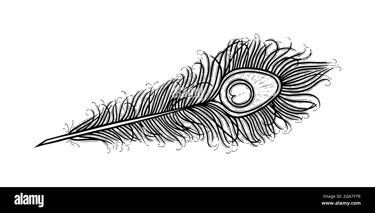Peacock feather eye Black and White Stock Photos \u0026 Images - Alamy, image size:1300x740