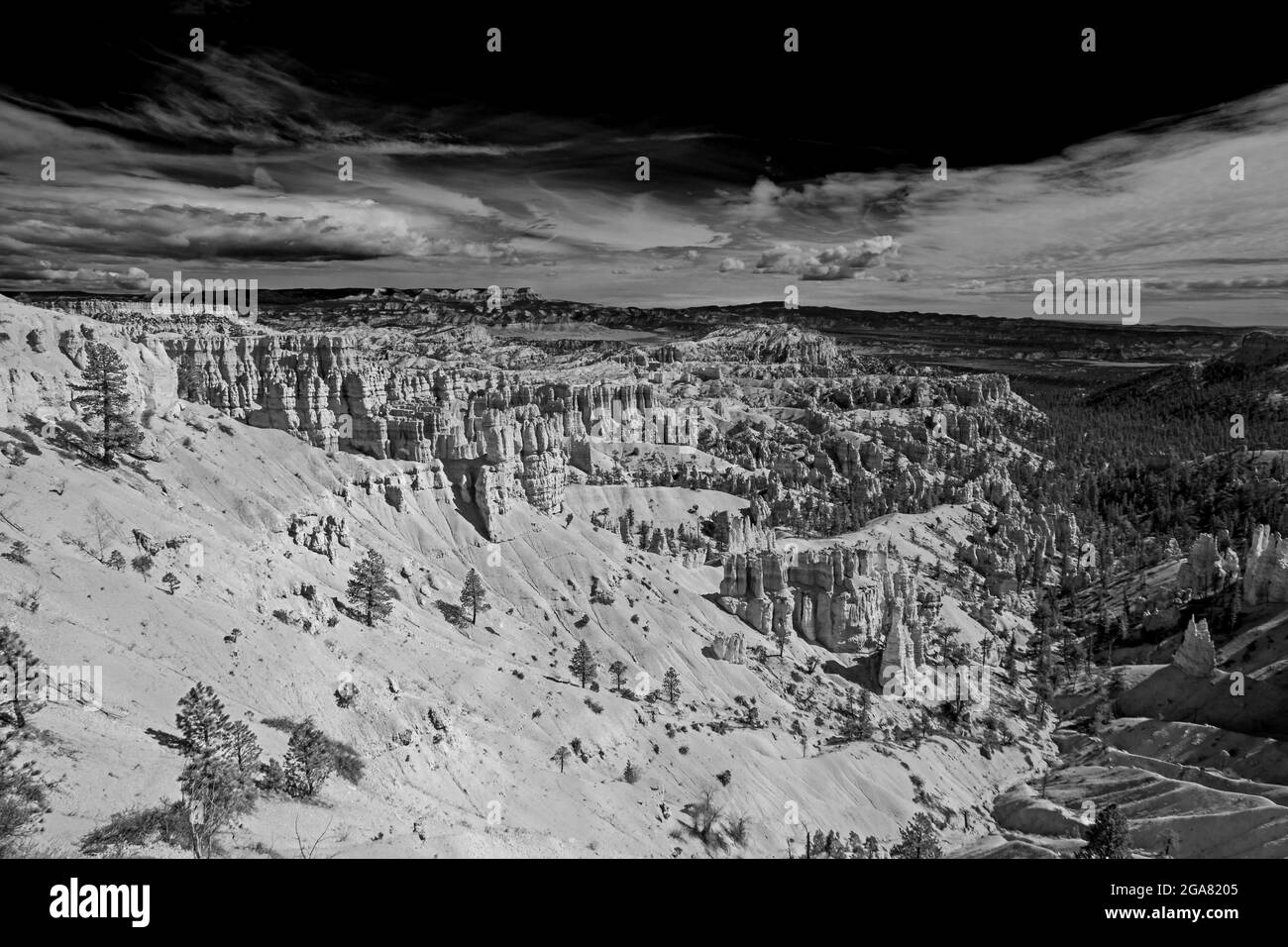 Bryce Canyon landscape 2496 BW Stock Photo