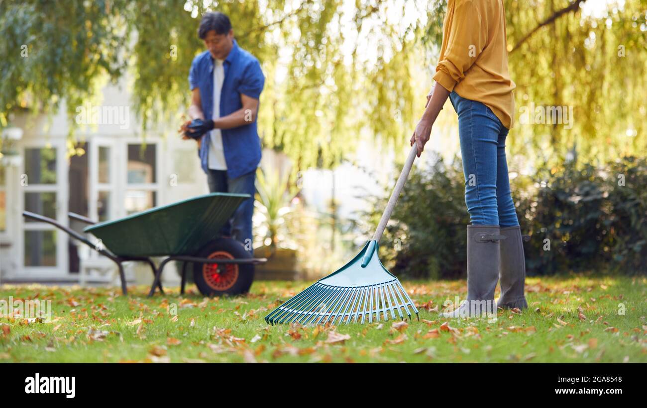 Mature Asian Couple Working In Garden At Home Raking And Tidying Leaves ...