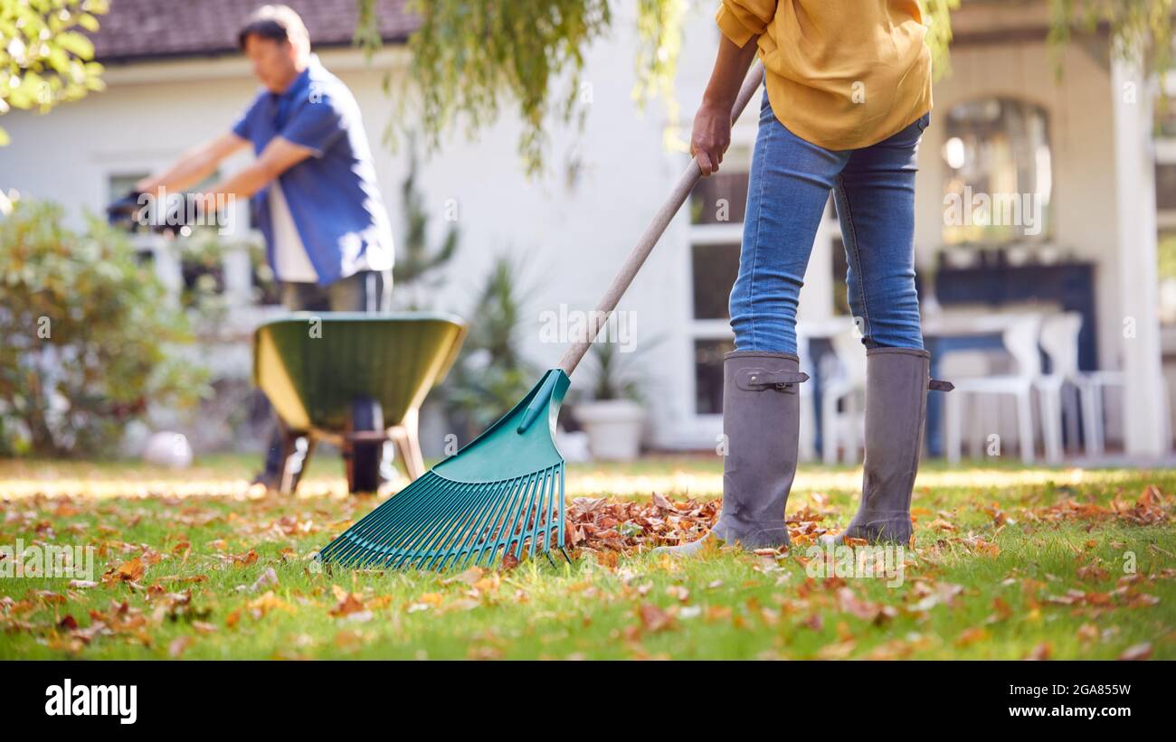 Asian woman raking leaves hi-res stock photography and images - Alamy