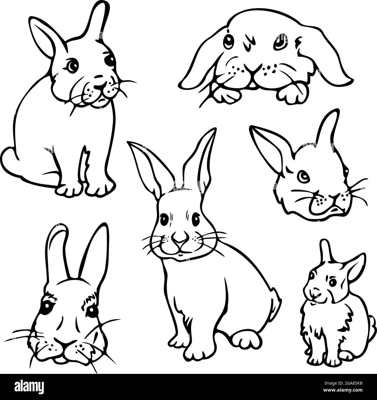 Illustration rabbits Cut Out Stock Images & Pictures - Alamy illustration-rabbits-cut-out-stock-images-pictures-alamy