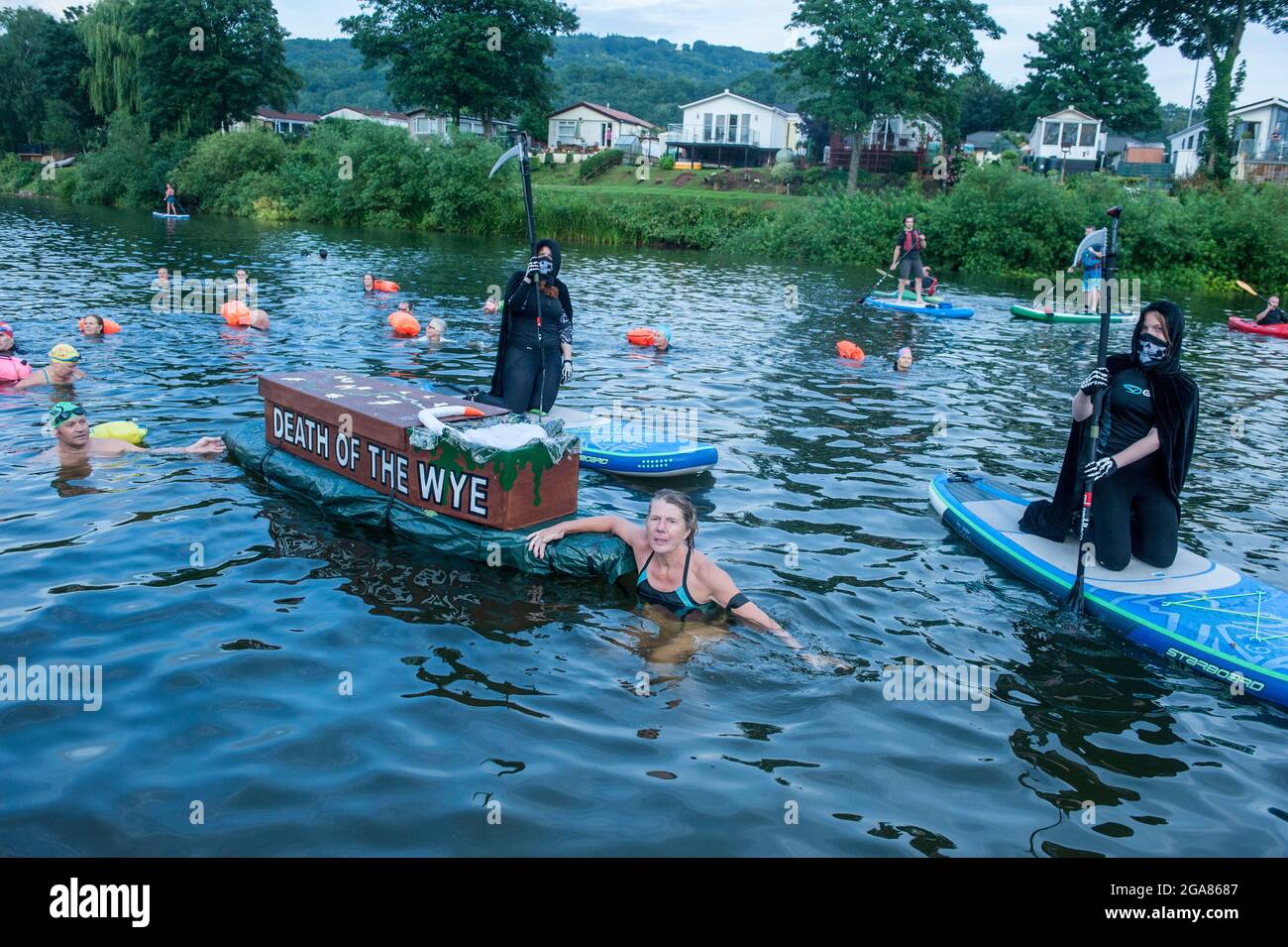 Wild swim specialist and author Angela Jones aka 'The Wild Woman of The Wye' leads a 1km swim in the Monmouth section of the River Wye to raise awareness about the dire ecological condition of the River Wye and its continued deterioration.   A replica coffin on a paddle board was lowered into the river and towed by Angela to represent the Death of the Wye.   Her swim is part of #SaveTheWye an umbrella campaign to support and build the network of organisations and individuals working to protect and restore the health of the River Wye and its tributaries, for benefit of both wildlife and people Stock Photo