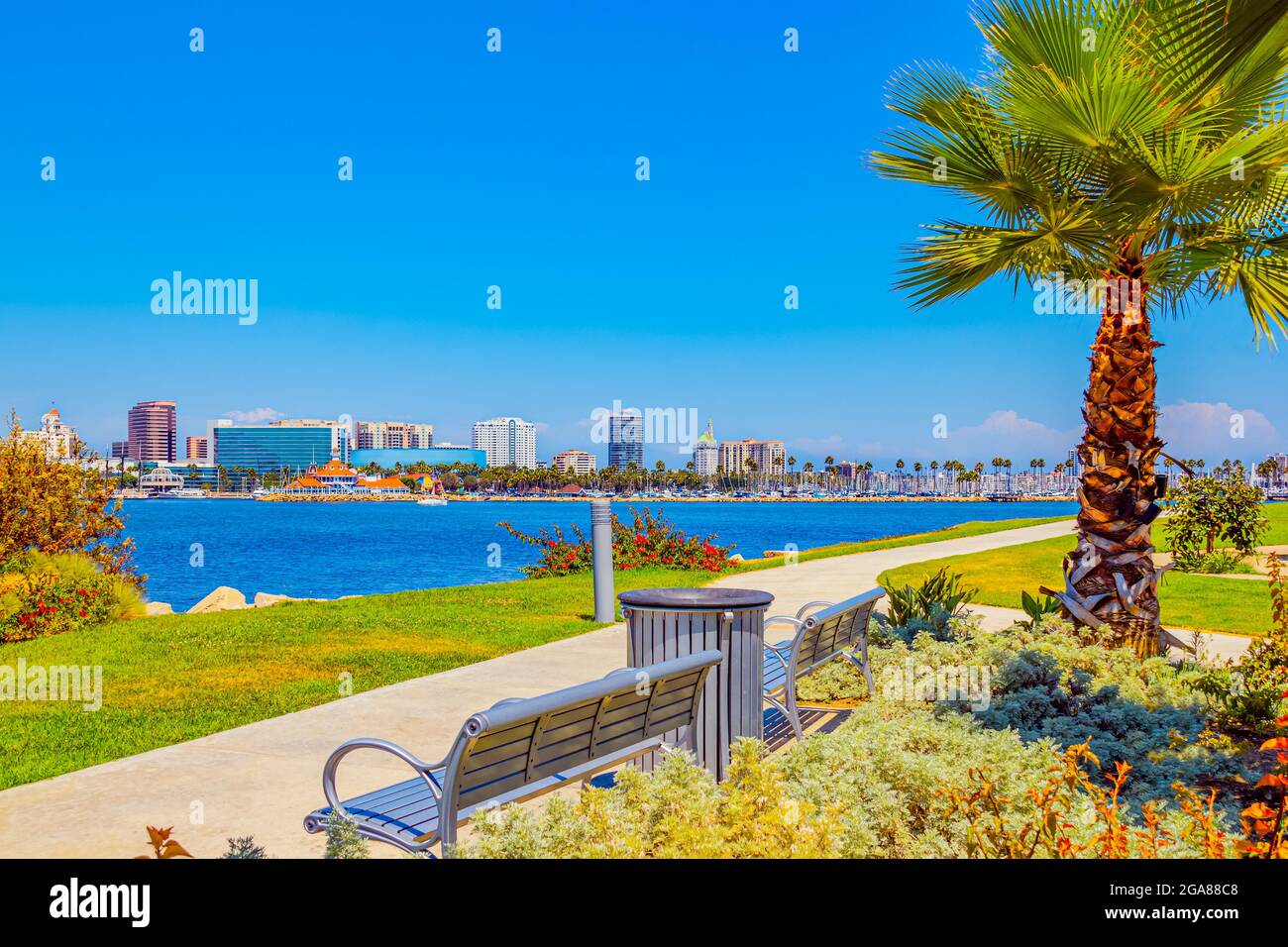 Long Beach's skyline stands behind the water of the Pacific Ocean. A