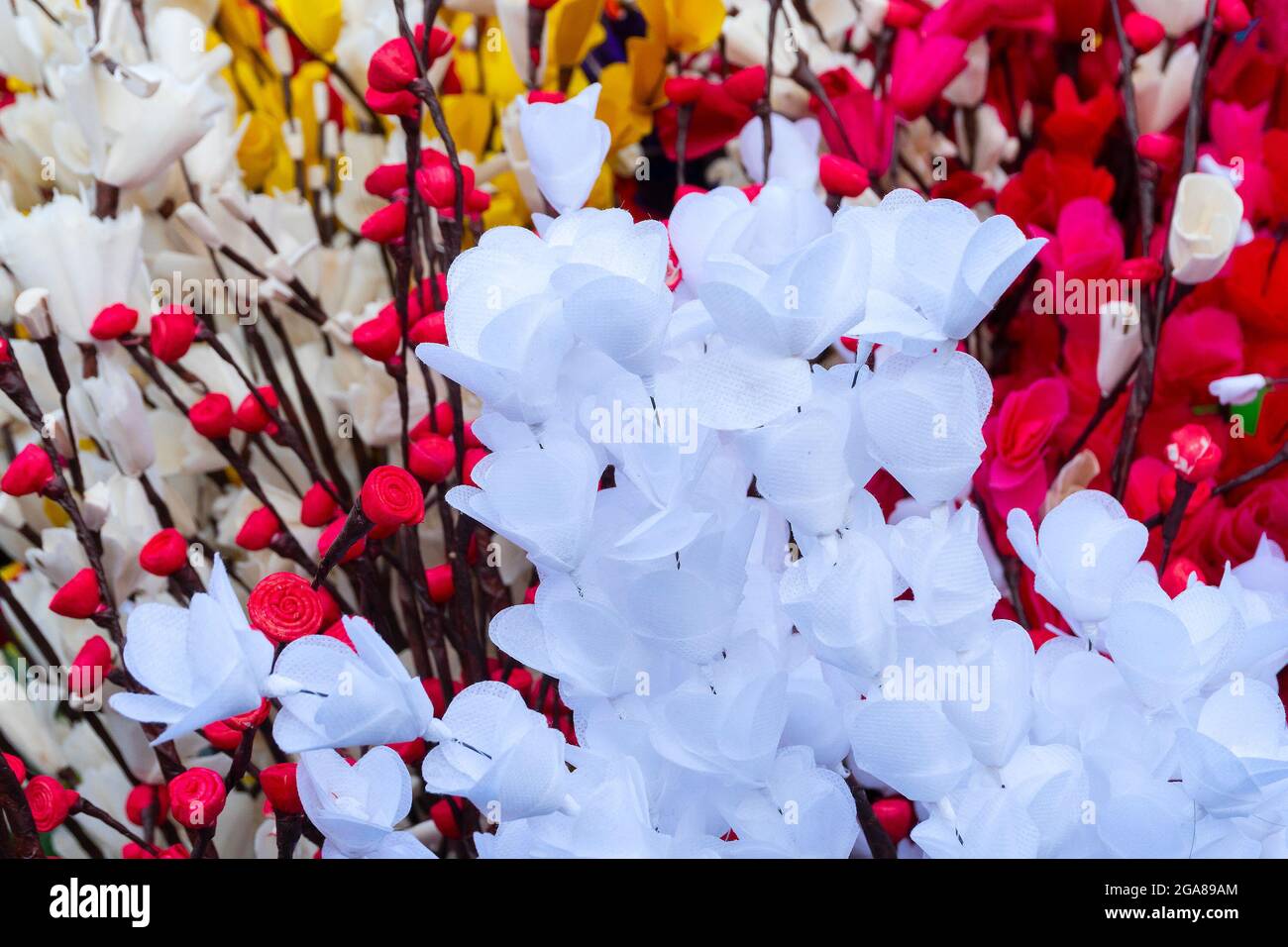 Flowers On A Tree In Kolkata, West Bengal, India, Where It Is