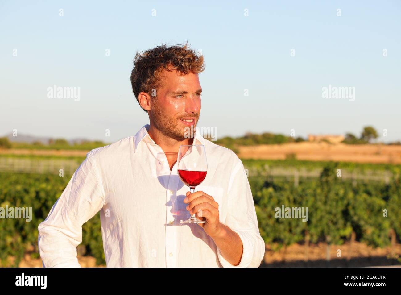 Winemaker man drinking rose or red wine, vineyard Stock Photo