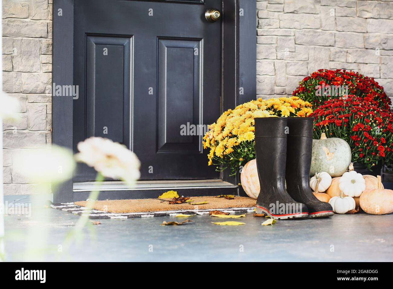 Rain boots sitting on door mat of front porch that has been decorated for autumn with heirloom white, orange and grey pumpkins and mums. Selective foc Stock Photo