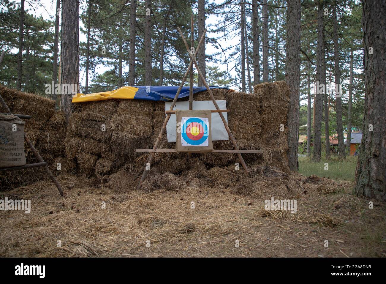 Straw Archery Target With Bullseye On Wooden Stand In Field Pierced With Lots Of Wooden Arrows Stock Photo Alamy