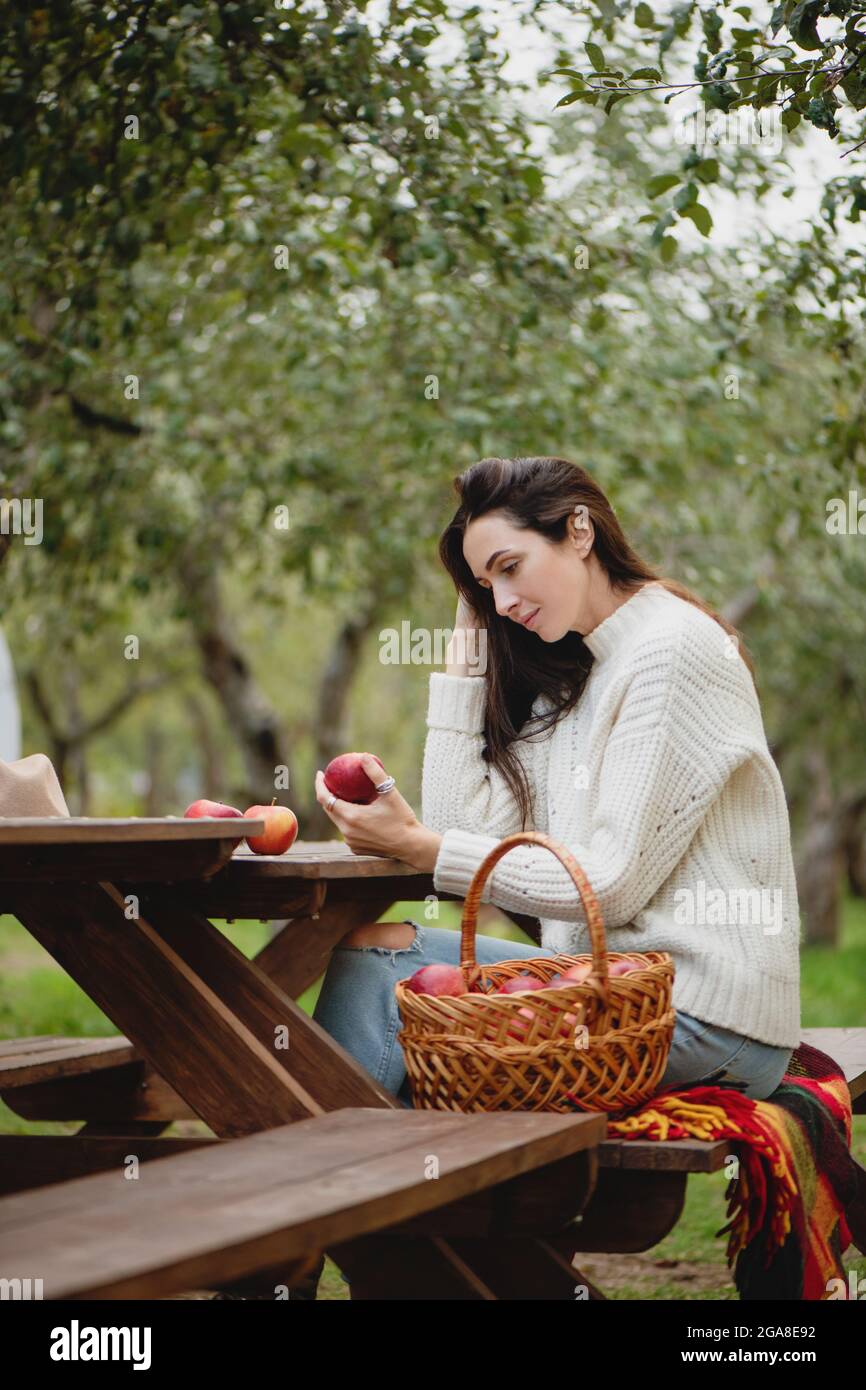 Beautiful woman sitting on the table in the apple garden with bucket full of red apples. Stock Photo