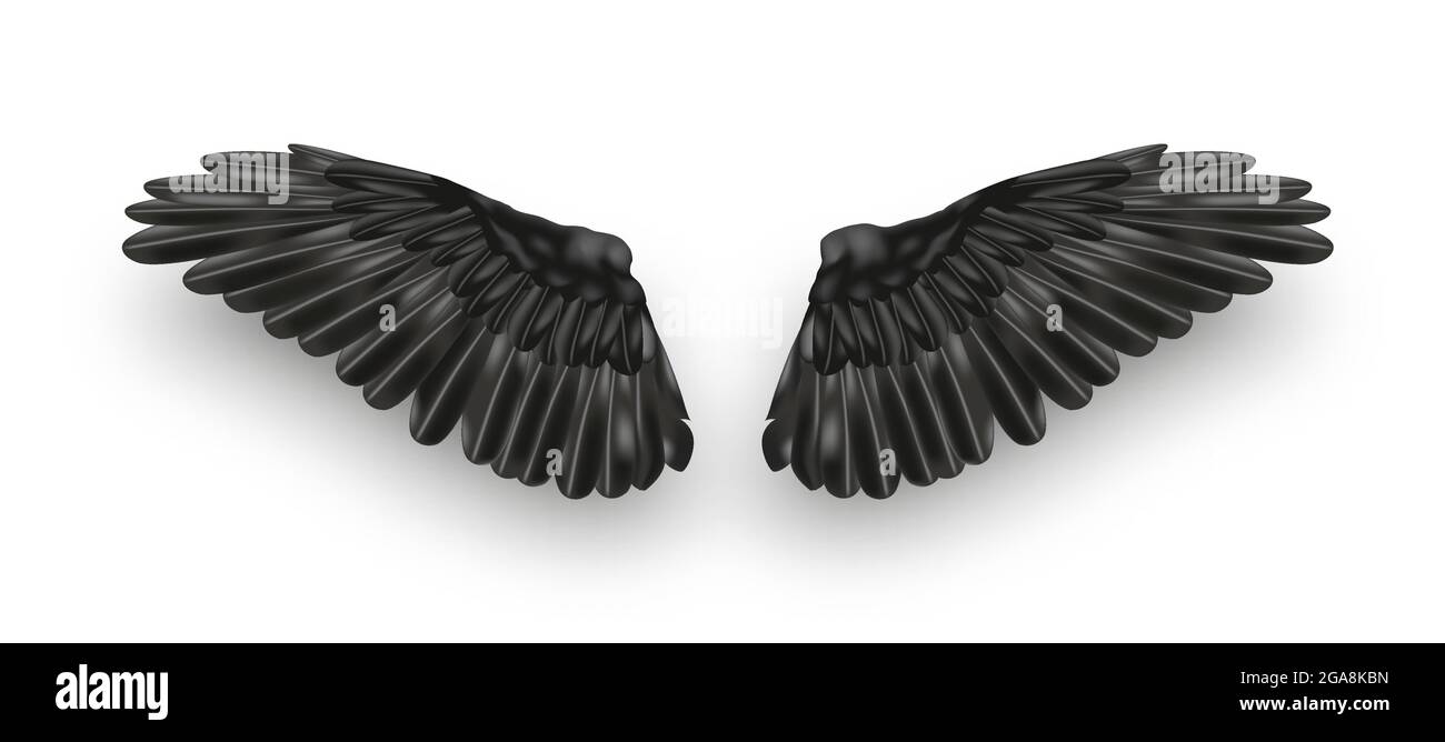 Vector pair of black realistic wings on white background Stock Vector ...