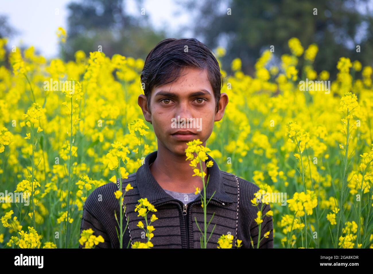 TIKAMGARH, MADHYA PRADESH, INDIA - JULY 23, 2021: Indian village boy at black mustard field. Stock Photo