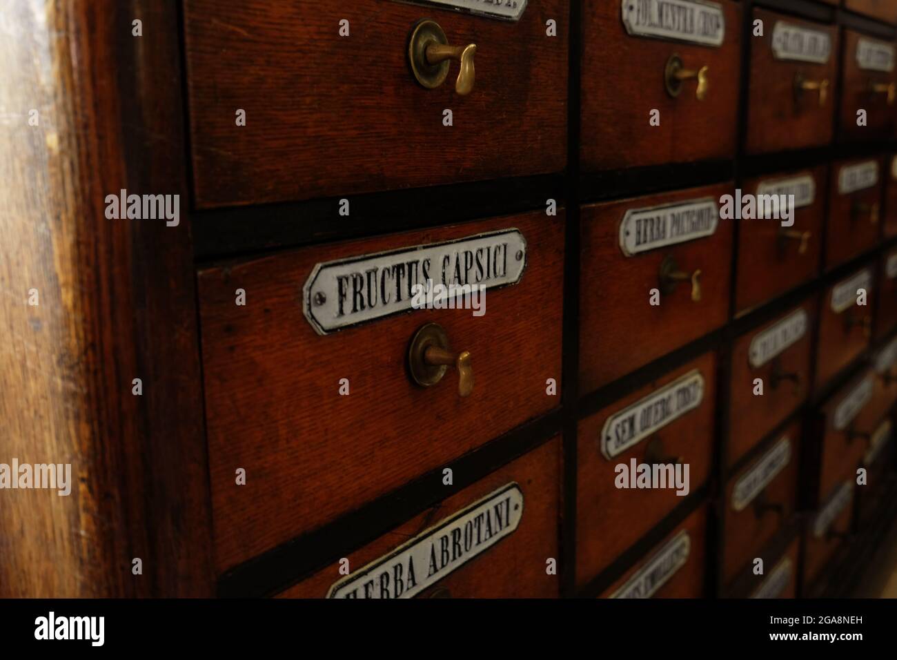 Wooden drawers with labels Stock Photo Alamy