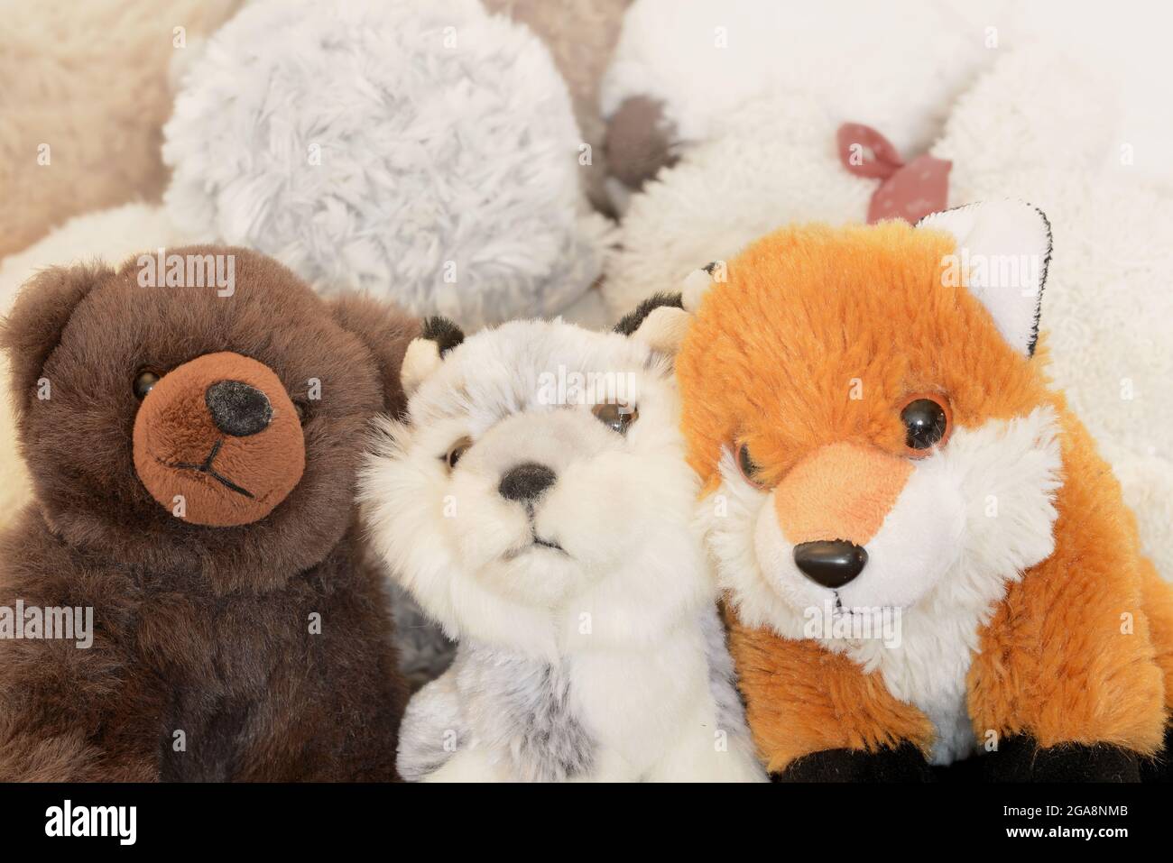 Three furry stuffed toy animals Stock Photo